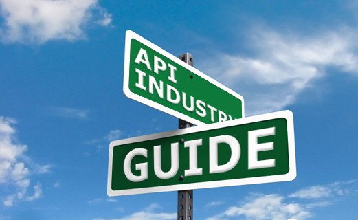 The API Industry at a Glance